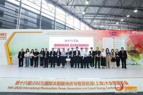 双良2023SNEC光伏展圆满落幕，连获三项大奖彰显科技实力